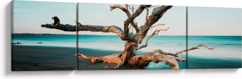 Obraz - Wyłowiono na plaży (170x50 cm)