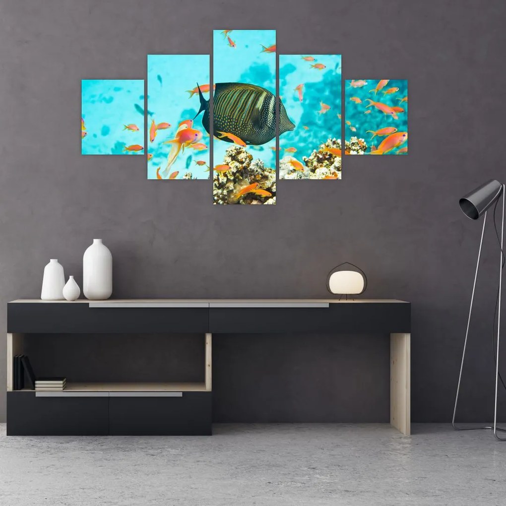 Obraz podwodnego świata (125x70 cm)