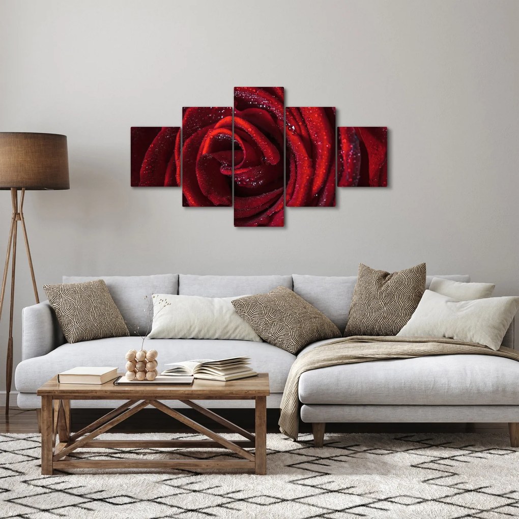 Obraz - Czerwona róża z kroplami rosy (125x70 cm)