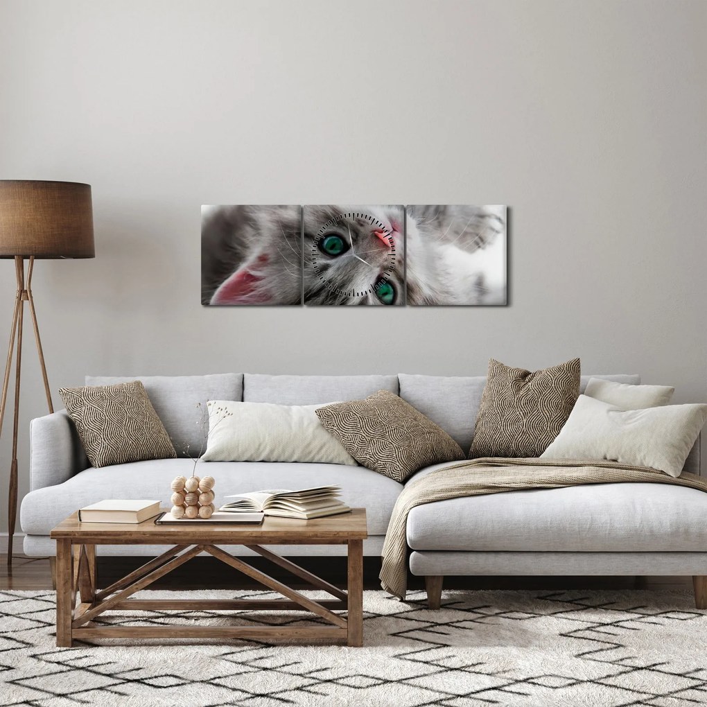 Obraz - Kot z zielonymi oczami (z zegarem) (90x30 cm)