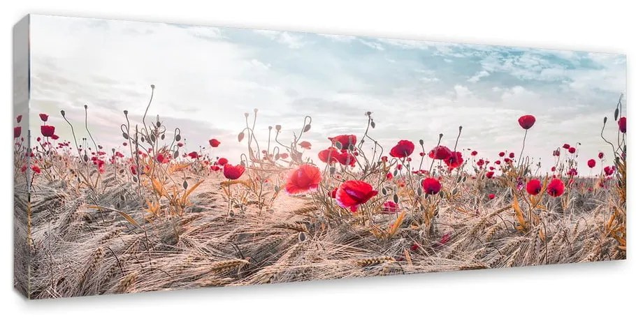 Obraz na płótnie Styler Poppies, 60x150 cm