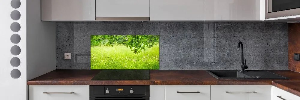 Panel dekor szkło Zielona łąka