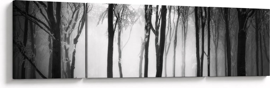 Obraz - Wilk w ciemnym lesie (170x50 cm)