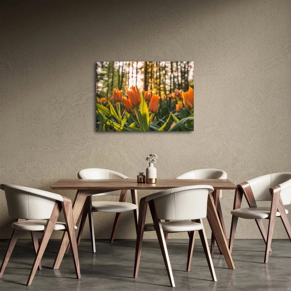 Obraz - pomarańczowe tulipany (70x50 cm)