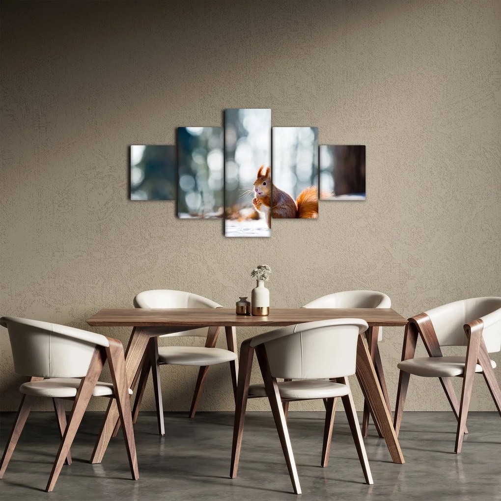 Obraz - Wiewiórka (125x70 cm)