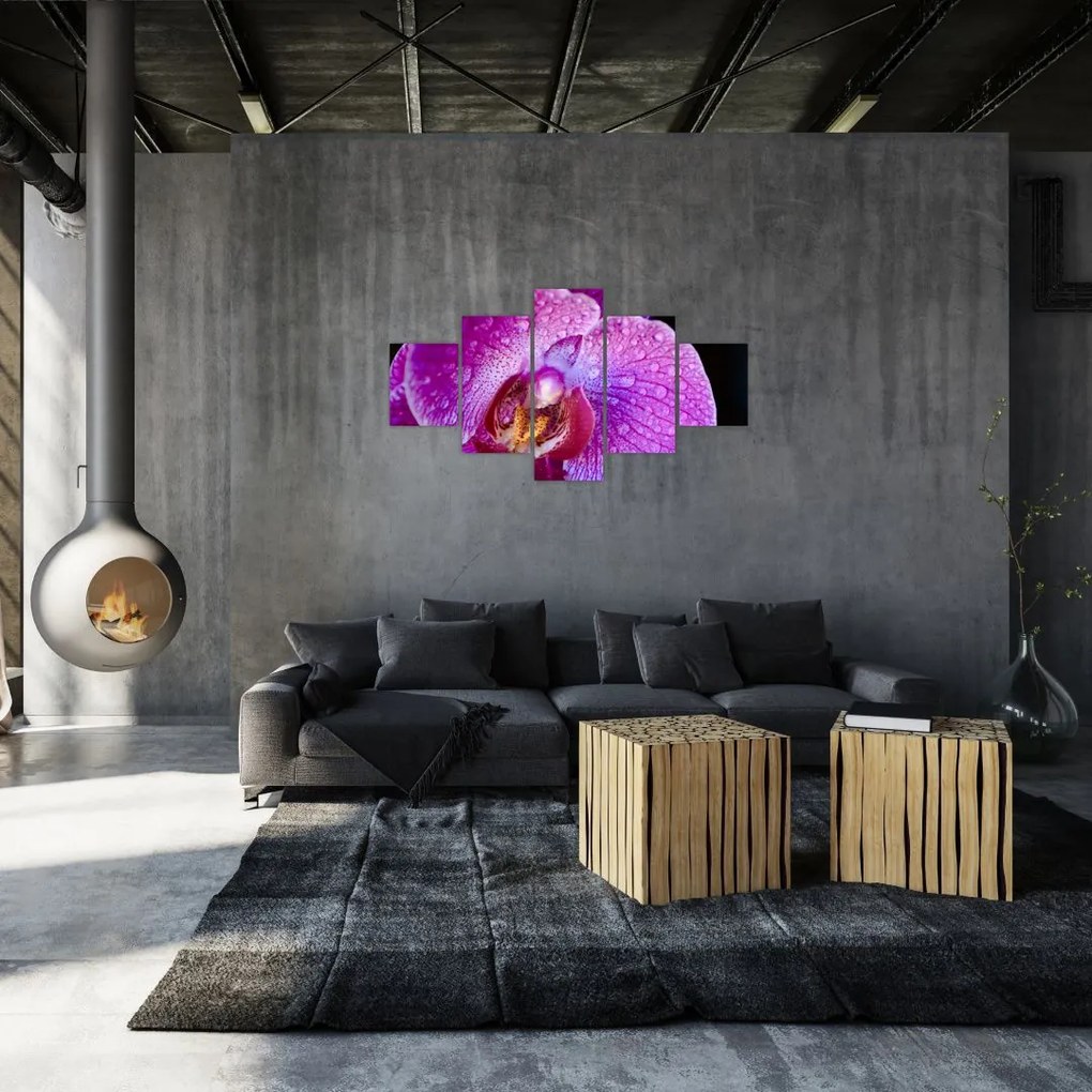 Zbliżenie kwiatu orchidei (125x70 cm)