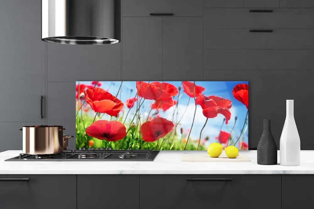 Panel Szklany Polne Maki W Rozkwicie