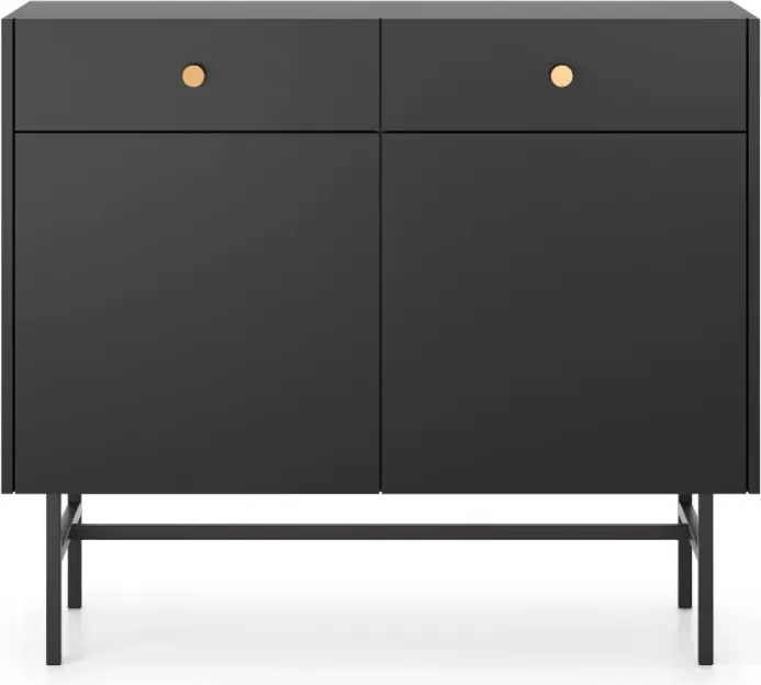 Alderia 2D2S – nowoczesna komoda do salonu i sypialni, dostępna w 2 kolorach