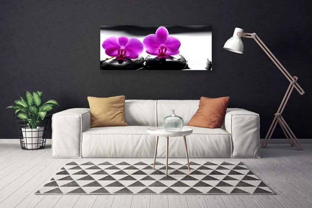 Obraz Canvas Kwiaty Orchidea Natura