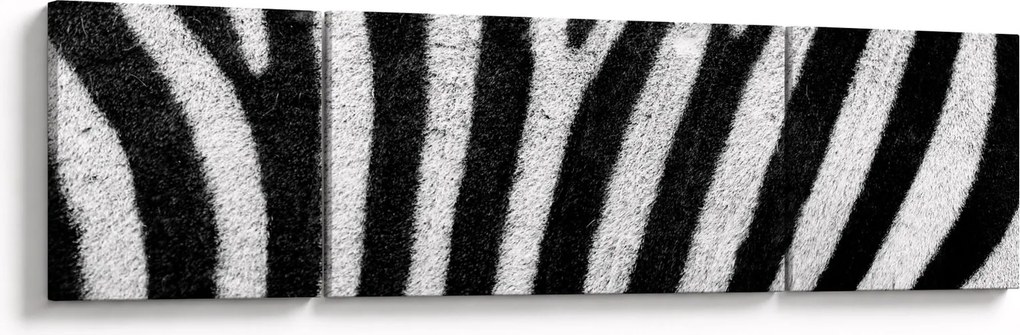 Obraz skóry zebry (170x50 cm)