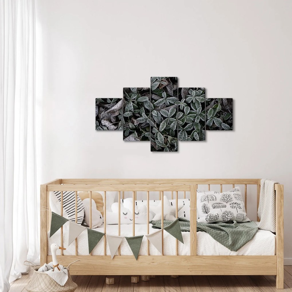 Obraz - Zamrożone rośliny (125x70 cm)
