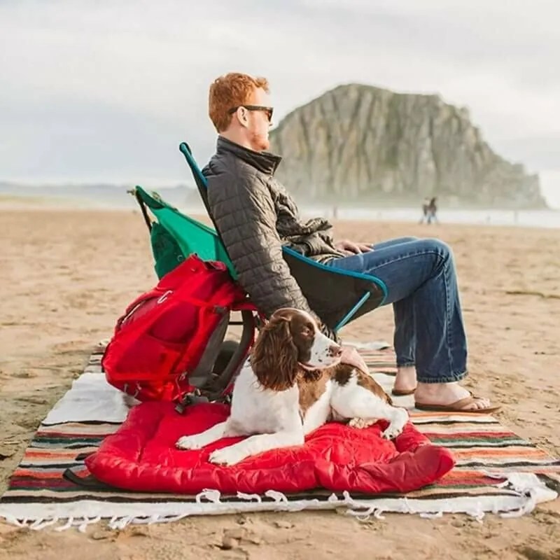 Kurgo® Wander Bed Loft Legowisko dla psów L