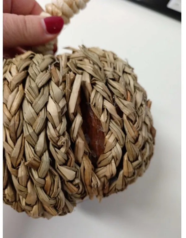 PROMOCJA Dekoracja dynia PUMPKIN COACH GRASS II. jakość