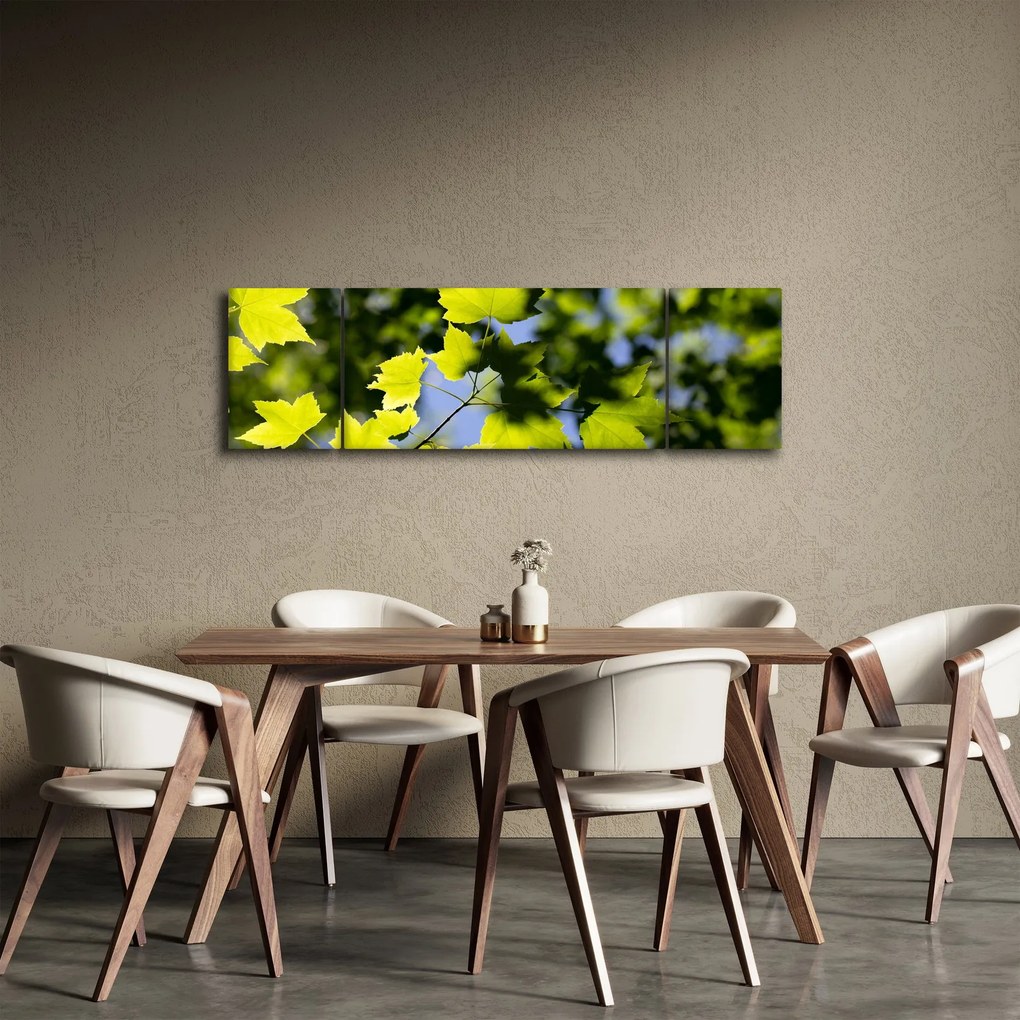 Obraz - liście klonu (170x50 cm)