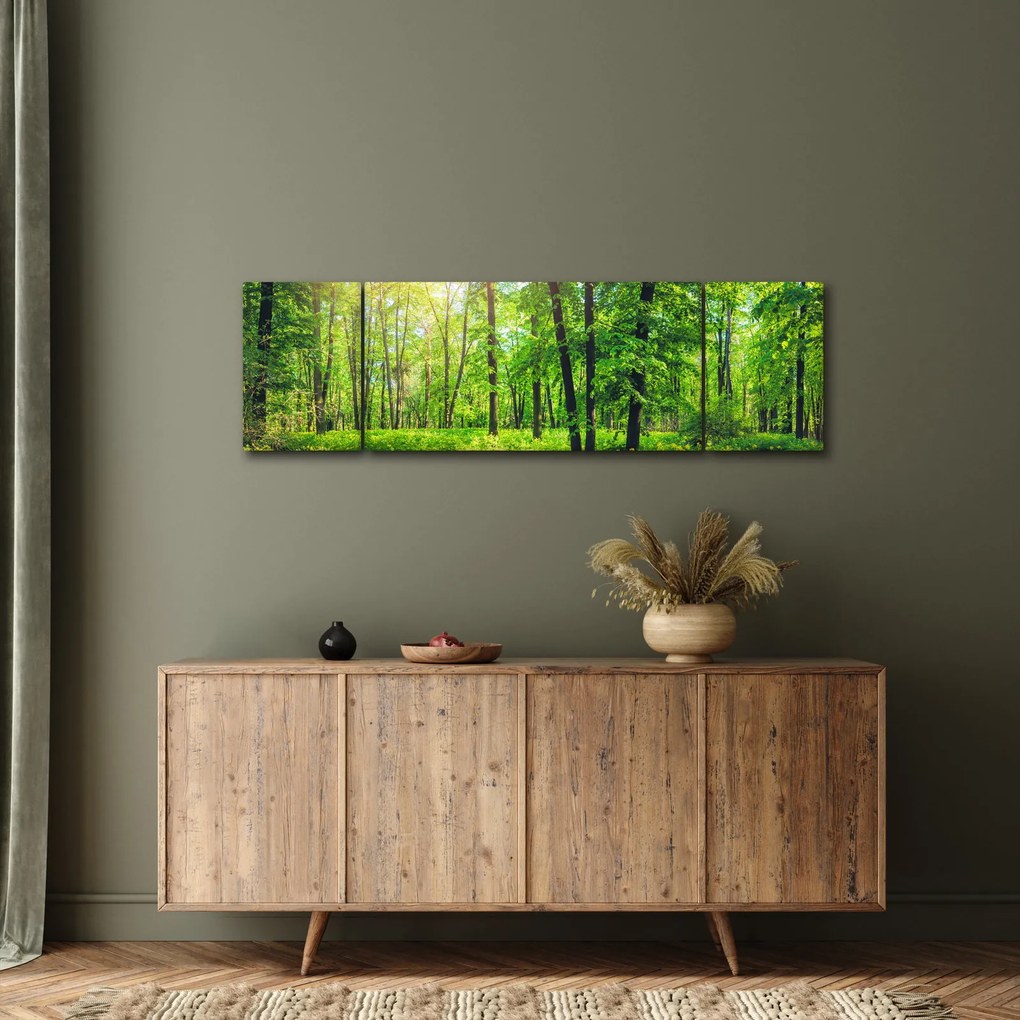 Obraz - Wiosenny las liściasty (170x50 cm)