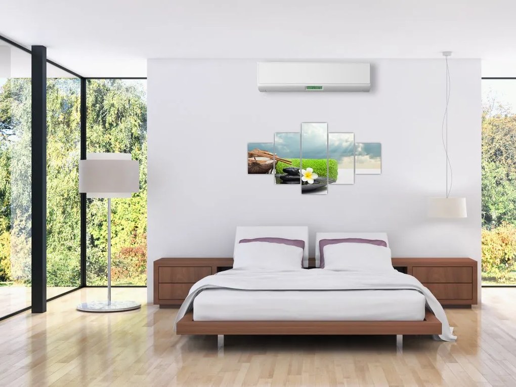 Obraz - Spa and relakx (125x70 cm)