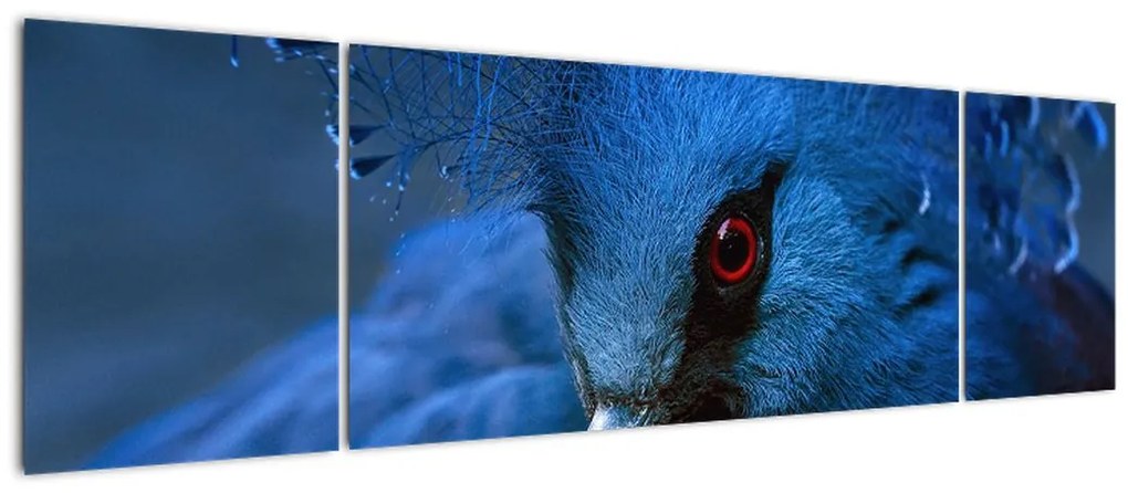 Obraz - Koronowany gołąb (170x50 cm)