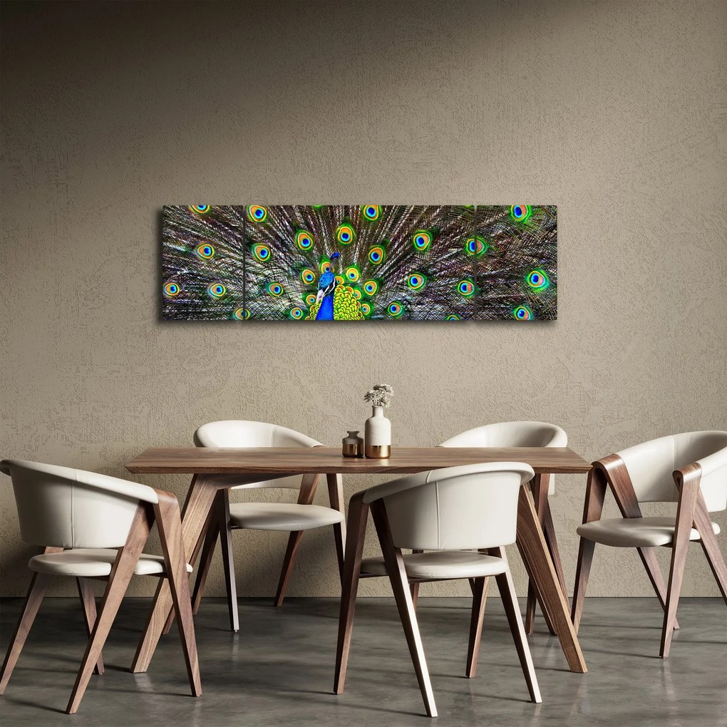 Obraz - Paw (170x50 cm)