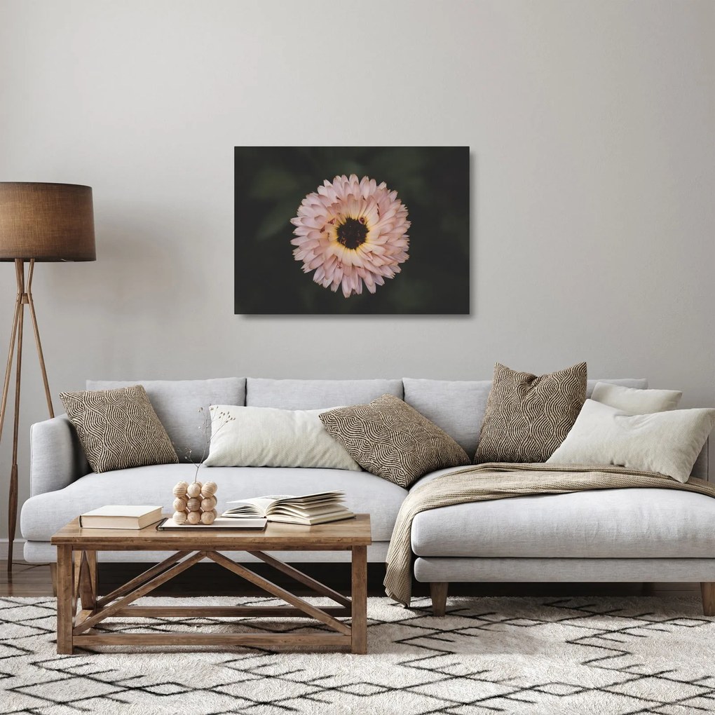 Obraz na szkle - pomarańczowy kwiat (70x50 cm)