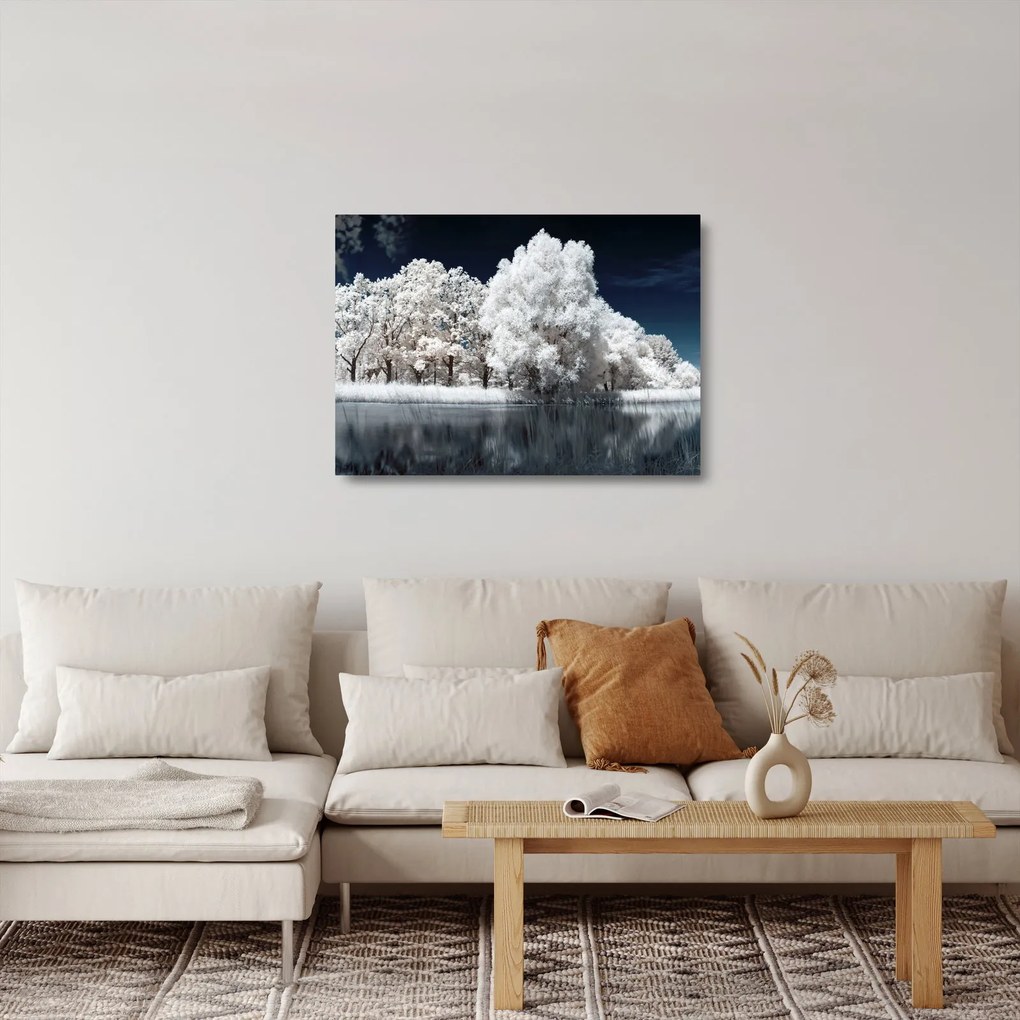 Obraz na szkle - Śnieżnobiałe drzewa (70x50 cm)