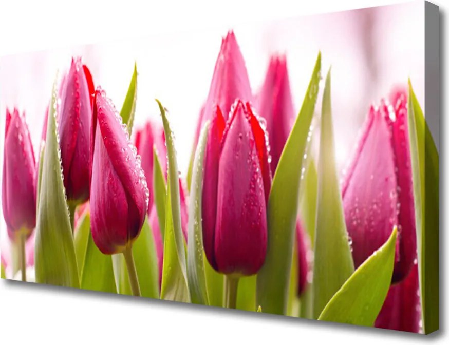 Obraz canvas Wiosenne Pole Tulipanów