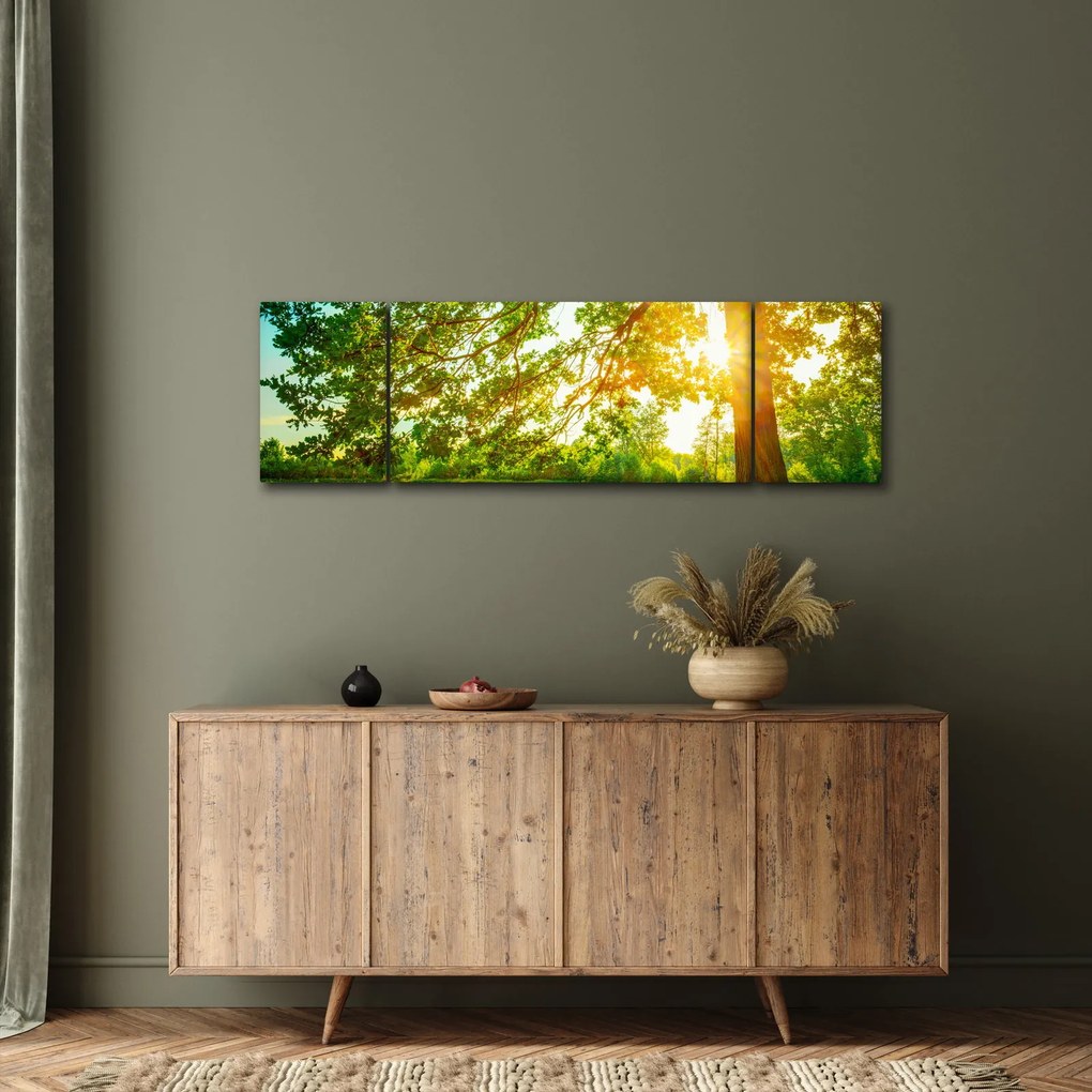 Obraz - Słoneczny Las (170x50 cm)