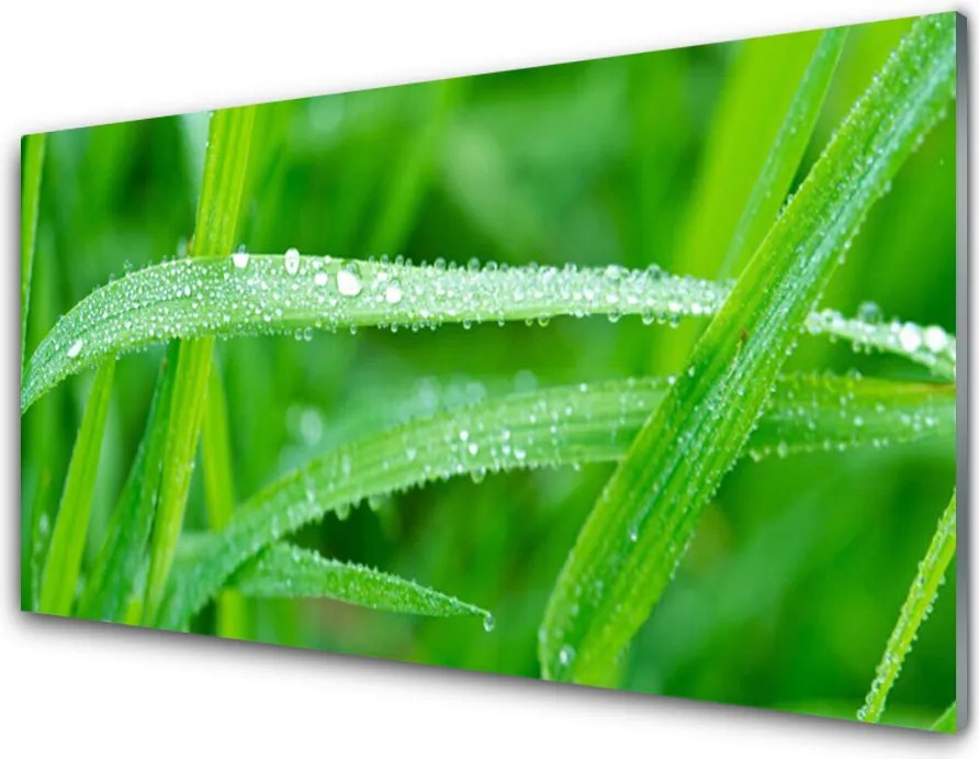 Panel Szklany Perlista Rosa na Zielonym Liściu