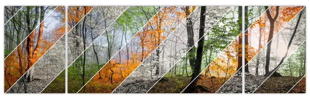 Obraz - Zmieniające się pory roku (170x50 cm)