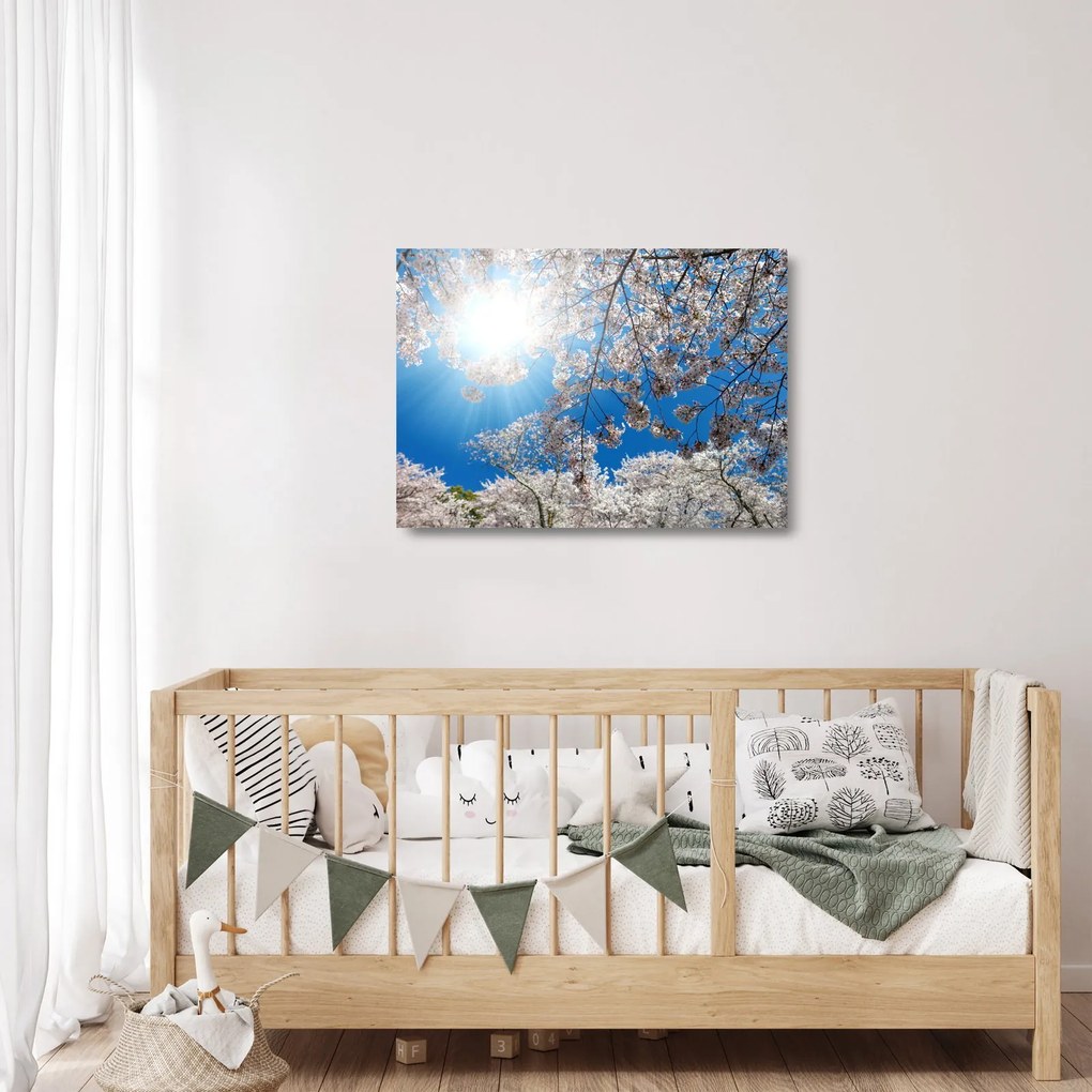 Obraz na szkle - Wiśniowe kwiaty (70x50 cm)