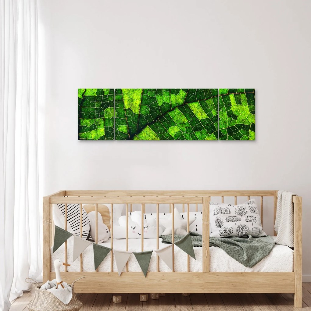 Obraz - Detal liścia (170x50 cm)