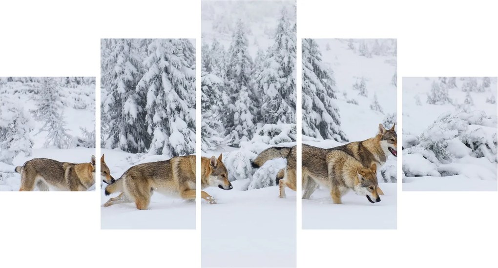 Obraz - Wilki w górach (125x70 cm)