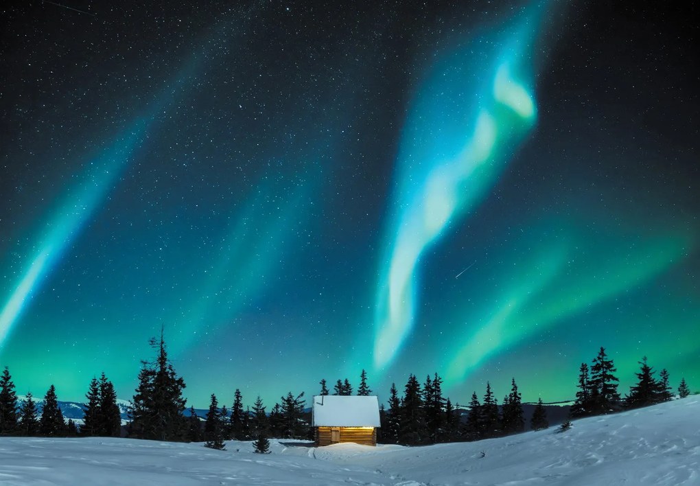 Fototapeta - Aurora Borealis (196x136 cm)