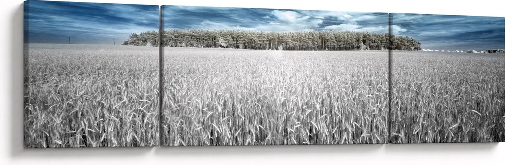 Obraz pola (170x50 cm)