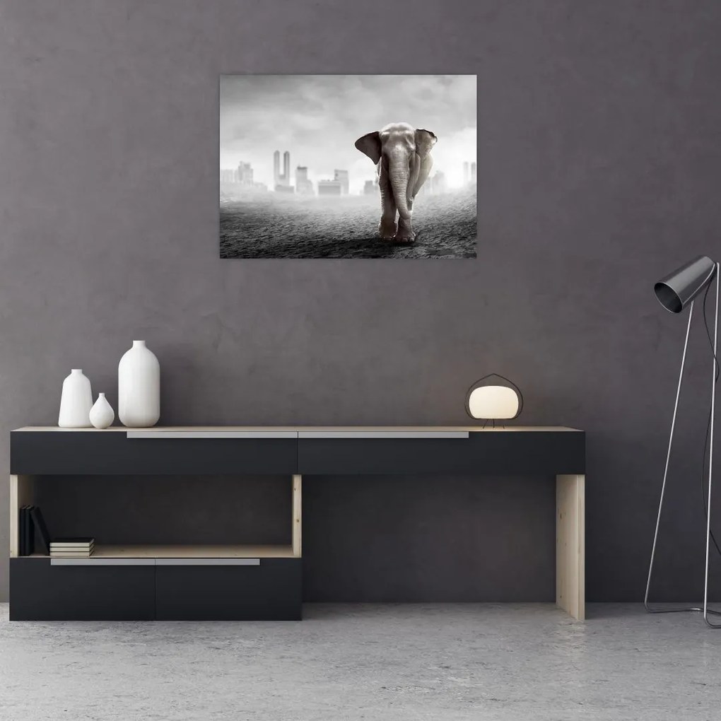 Obraz na szkle - Słonie w wielkim mieście, wersja czarno - biała (70x50 cm)
