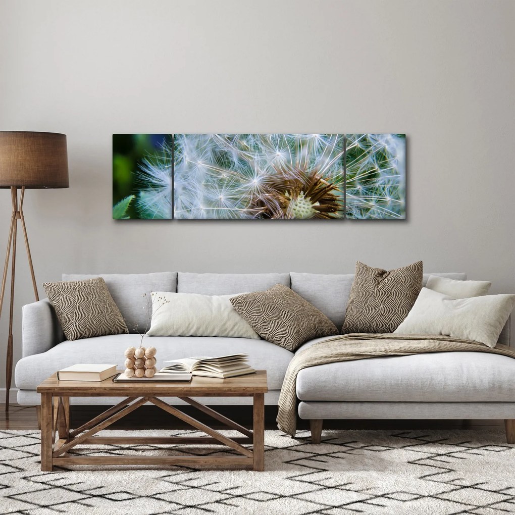 Obraz przekwitniętego dmuchawca (170x50 cm)