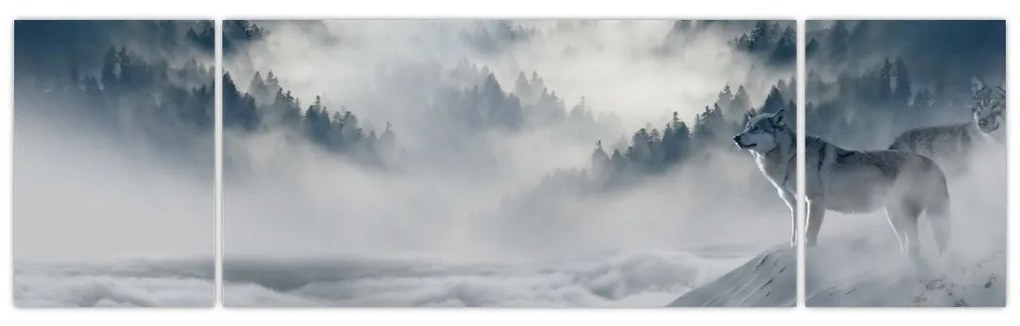 Obraz wilków (170x50 cm)