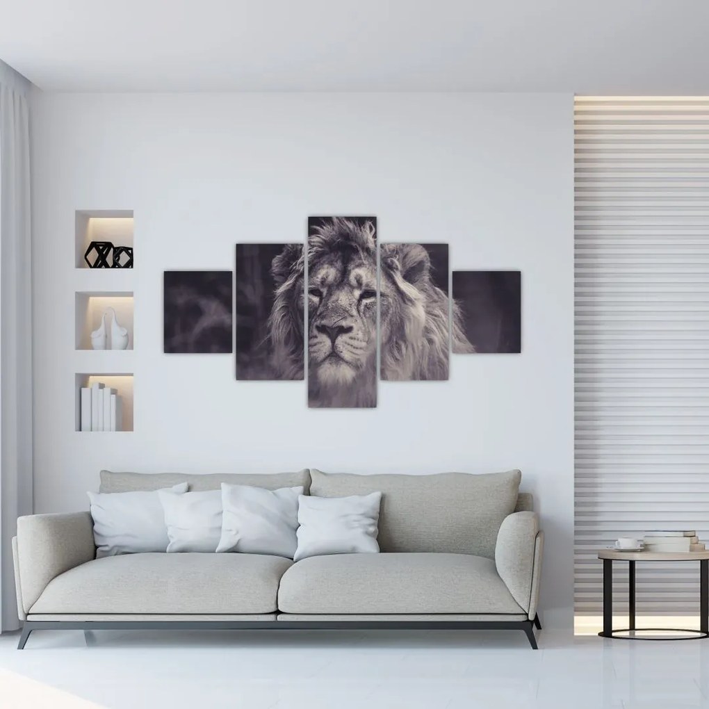 Obraz lwa (125x70 cm)