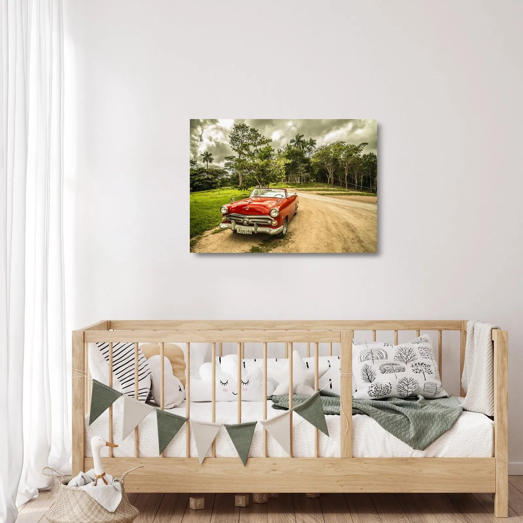 Obraz na szkle - zabytkowy samochód w przyrodzie (70x50 cm)