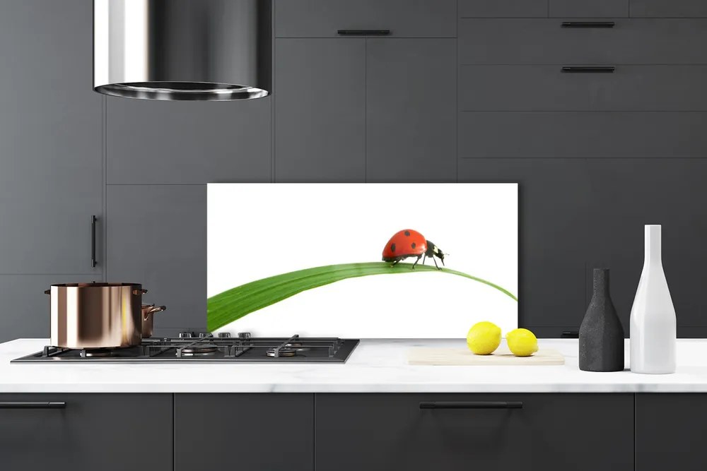 Panel Kuchenny Mała Biedronka W Trawie