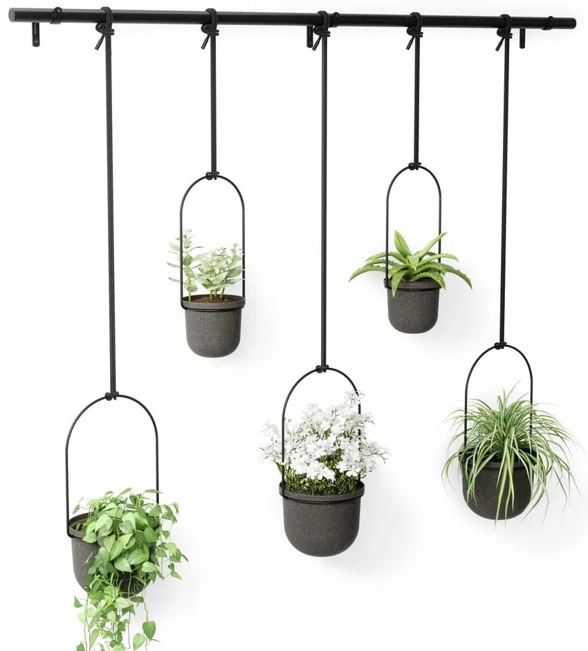Plastikowe wiszące osłonki na doniczki na zioła zestaw 5 szt. ø 7,5 cm Triflora – Umbra