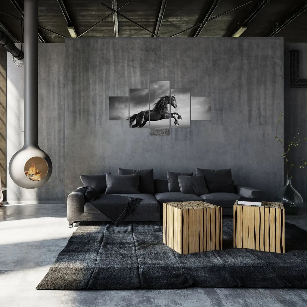 Obraz - Czarny i biały koń (125x70 cm)