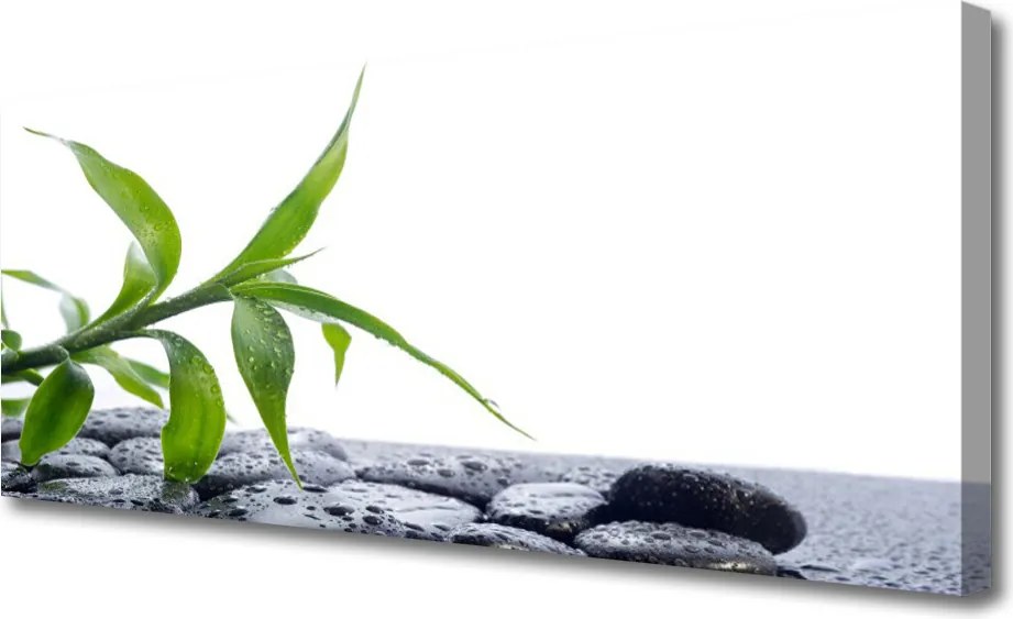 Obraz canvas na ścianę Harmonijne Połączenie Liści i Kamieni