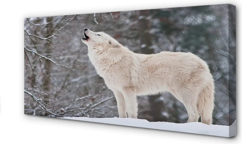 Obraz drukowany na płótnie Wilk w Ośnieżonym Lesie
