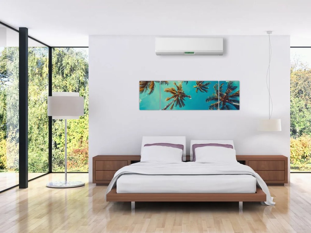 Obraz - Wysokie palmy (170x50 cm)