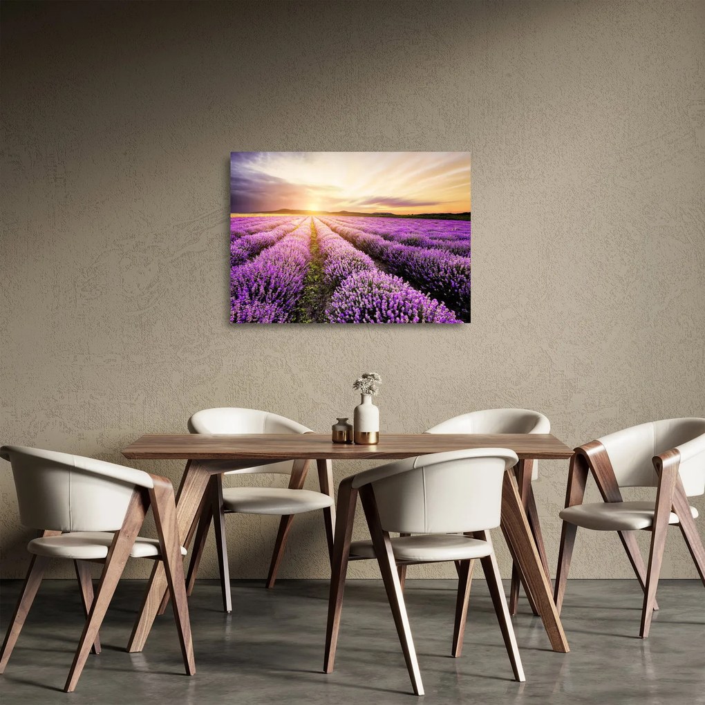 Obraz na szkle - Wschód słońca na polu lawendy (70x50 cm)