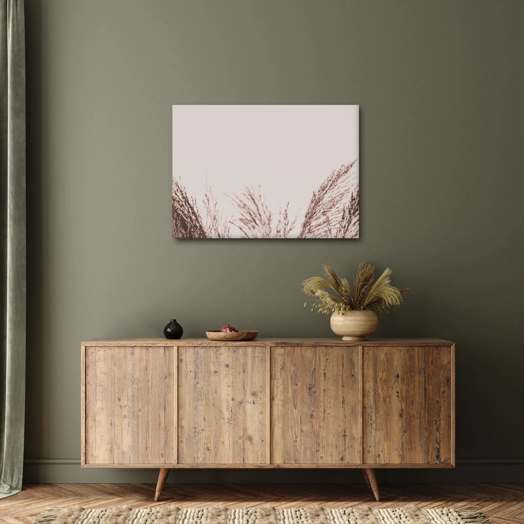 Obraz - Suszona trawa (70x50 cm)