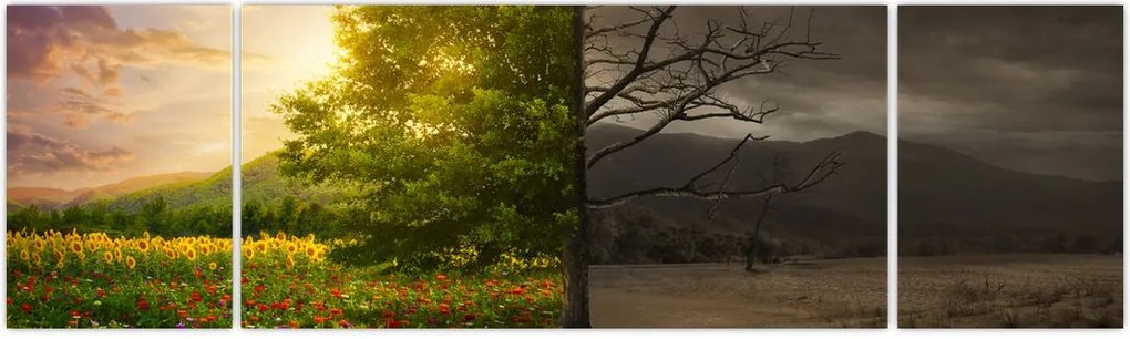 Obraz - Cykl życia (170x50 cm)