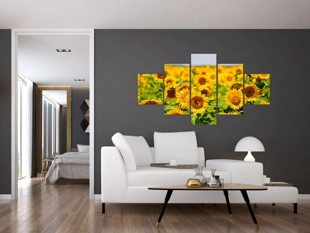 Obraz - Słoneczniki (125x70 cm)