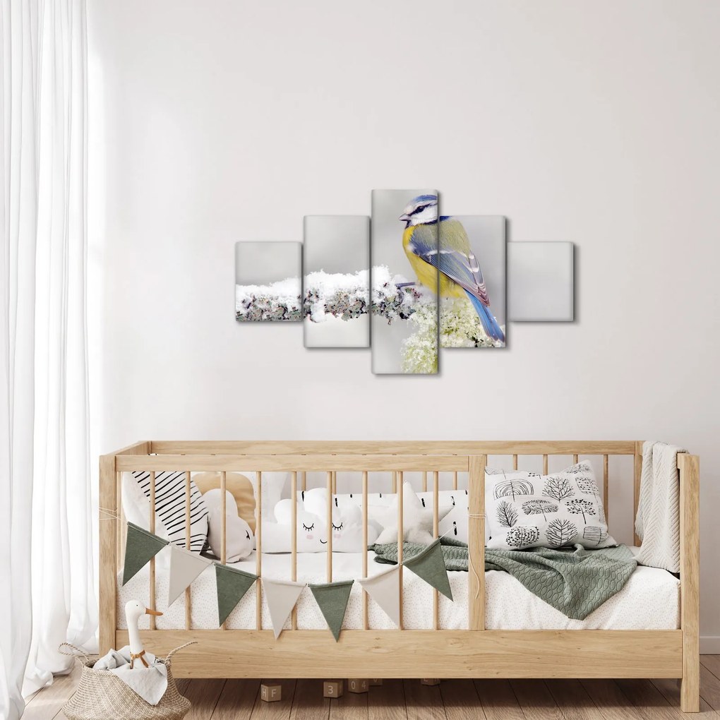 Obraz - Sikora modraszka w lesie (125x70 cm)