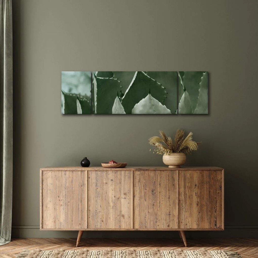 Obraz - Zielona agawa (170x50 cm)